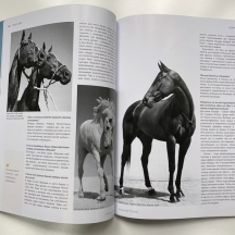 Журнал Equestrian 7(2)