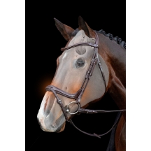 Вуздечка Ancona 