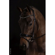 Вуздечка  Westminster