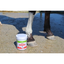 Глина для суглобів і м’язів зігріваюча Tendilax Antiphlogistic від Audevard, 2 кг