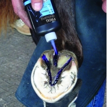 Засіб по догляду за стрілкою та копитом Blue frog dressing від Diamond, 118 мл