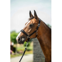  Недоуздок Samantha