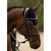 Вушка Velvet від Maximilian Equestrian