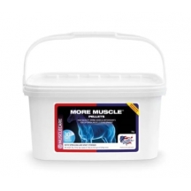 Добавка для росту та розвитку м’язової маси More Muscle від Equine America, 3 кг