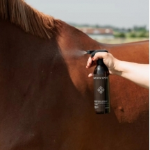 Репелент-спрей GD Anti Fly Spray від Kentucky, 500 мл