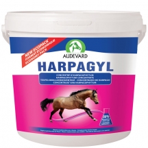 HARPAGYL з кігтем диявола