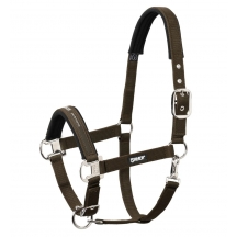 Недовуздок з неопреном Pin Buckle Basics