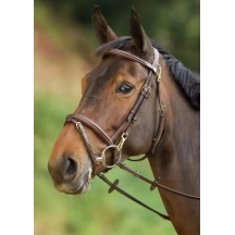 Вуздечка з комбінованим капсюлем Functional з гумовим повіддям від HFI