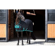 Попона денникова демісезонна Amigo X Sur Poly 0 г від Horseware