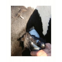 Бездротова машинка для стрижки 