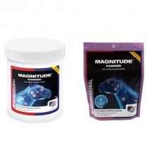 Добавка для нервової системи Magnitude Powder