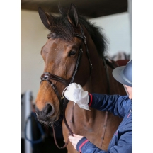 Серветка-рукавичка для чищення амуніції Tack Cleaning Mitt від Carr&Day&Martin