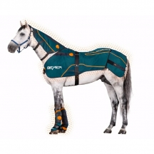 Капор-аплікатор для шиї коня BEMER — для оптимізації здоров'я та працездатності вашого коня