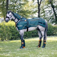Комплект для коней BEMER — попона, капор-аплікатор та ногавки