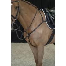 Підперсся Como