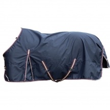 Попона 2в1: прогулянкова + утеплювач 100 г