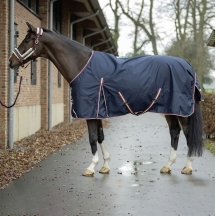 Попона 2в1: прогулянкова + утеплювач 100 г